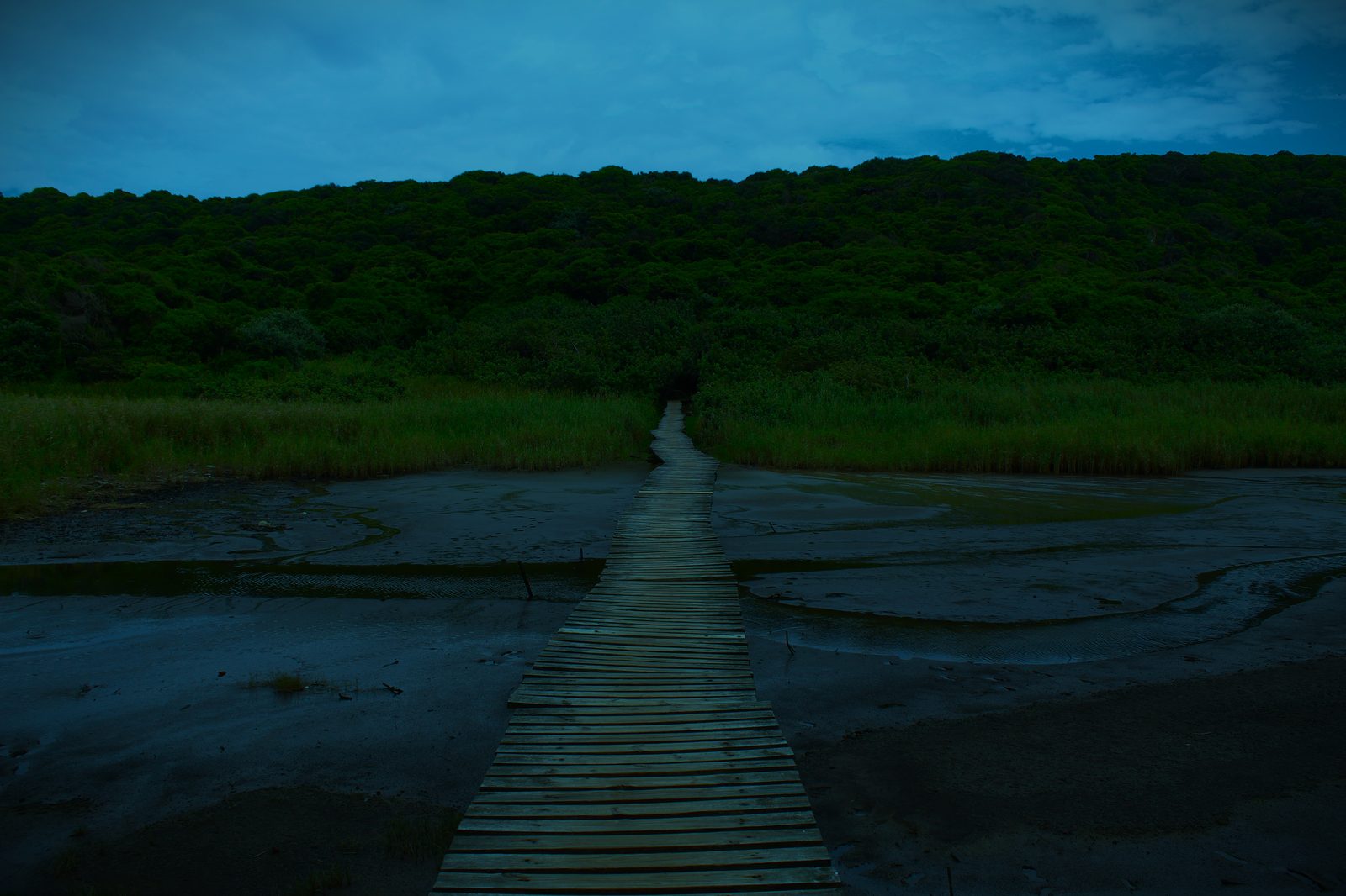 Boardwalk crossing a tidal flat toward forest at dusk